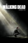 Season 5
