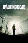 Season 4